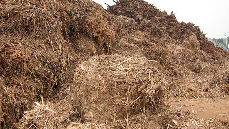 Exploring Local Thailand Biomass Wood Pellet Raw Materials