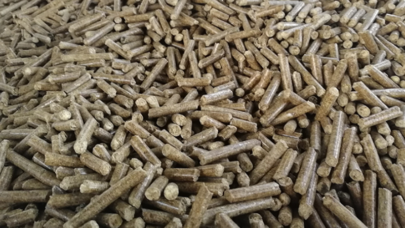 Exploring Local Thailand Biomass Wood Pellet Raw Materials