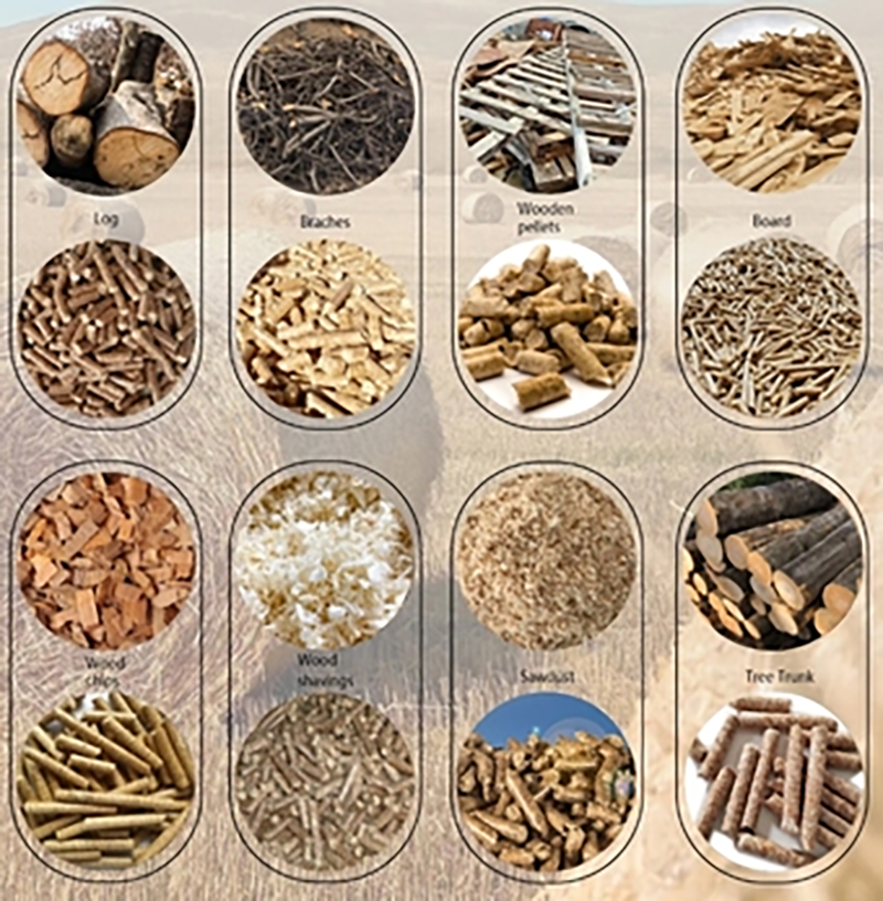 Exploration of Biomass Pellet Raw Materials in Vietnam